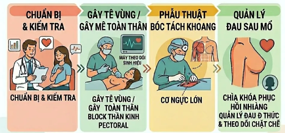 Quy trình nâng ngực an toàn tuân thủ theo đúng các bước, đảm bảo vòng 1 căng, tròn đầy