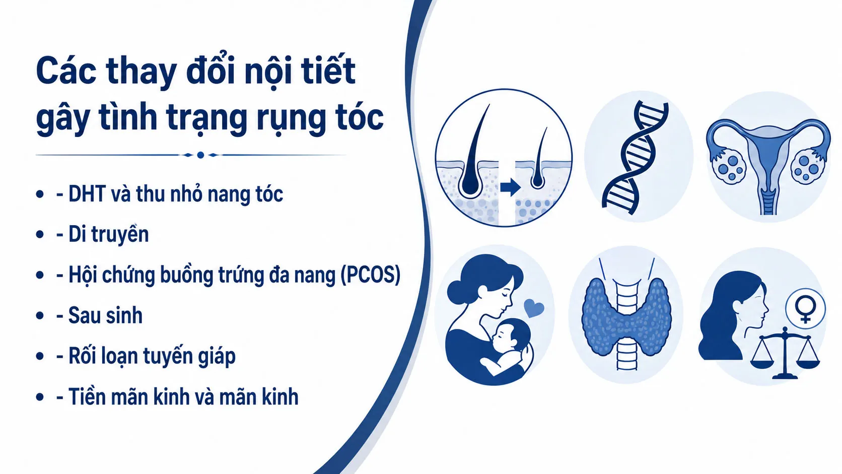 ảnh mô tả rõ Các thay đổi nội tiết gây tình trạng rụng tóc